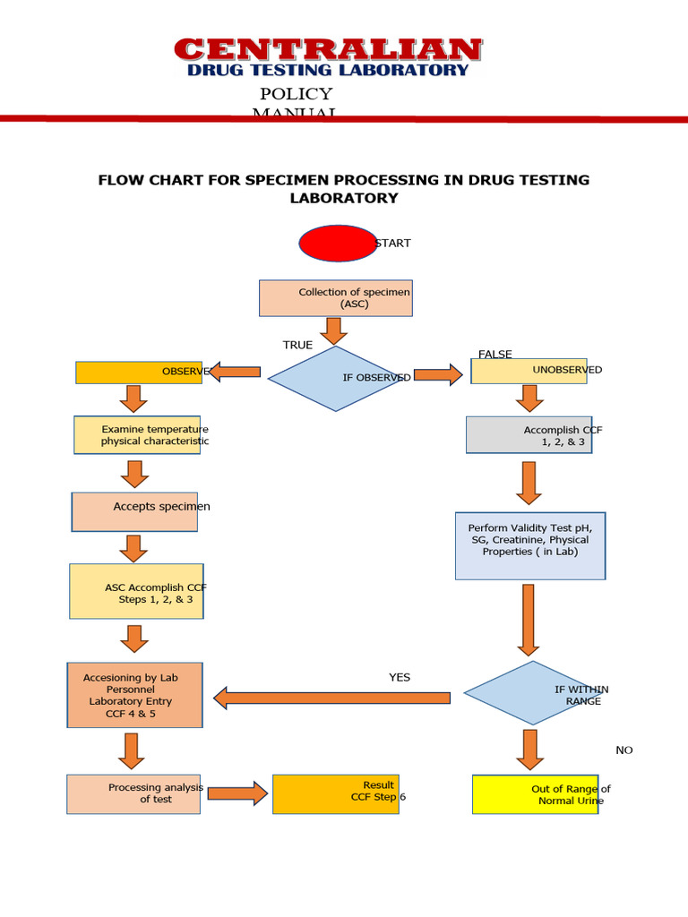 Flow Chart For Specimen Processing in Drug Testing Laboratory | PDF