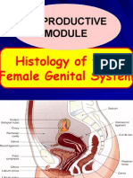 Histology of Female Genital System For Reproductive Module