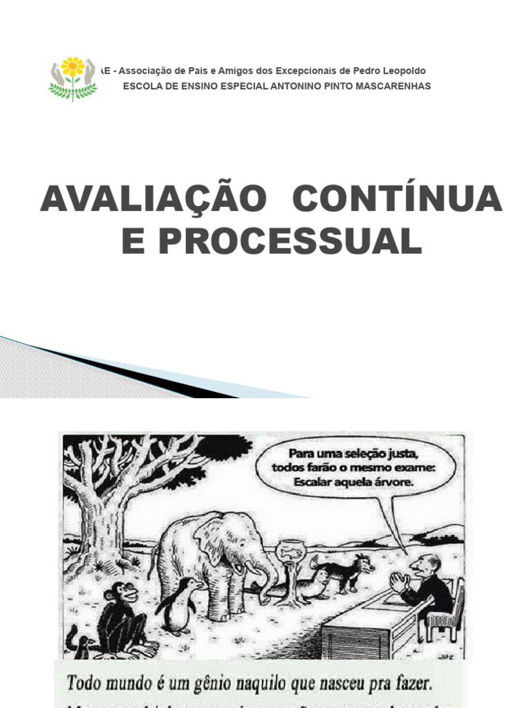 Avaliação Contínua na Educação Especial | PDF | Aprendizado