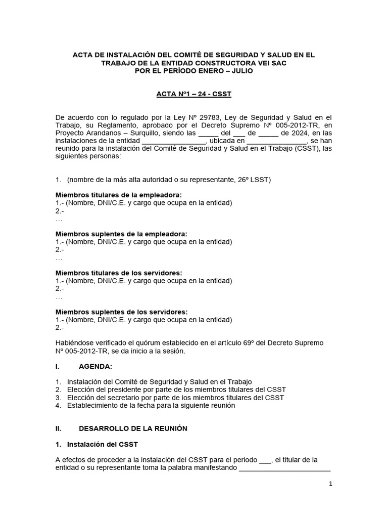 Anexo #11 - Modelo de Acta de Instalación Del CSST | PDF | Gobierno