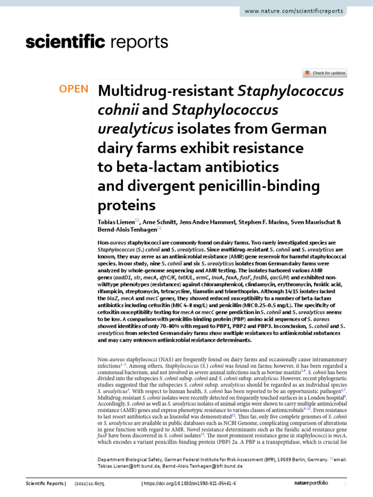 Multidrug Resistant Staphylococcus Dairy Farms Exhibit Resistance To Beta Lactam Antibiotics and