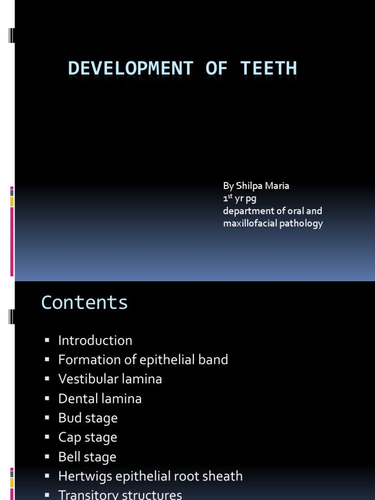 Stages of Tooth Development Explained | PDF | Epithelium | Dentin