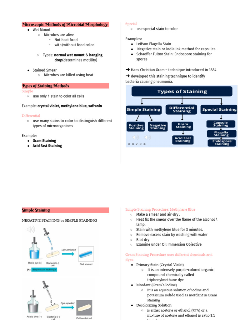 Microbial Morphology Techniques Guide | PDF | Staining | Microscopy