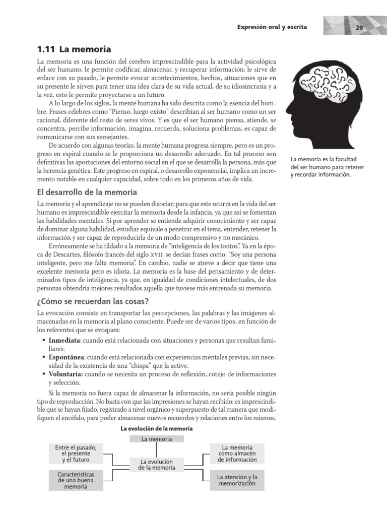 La Memoria Libro Pdf Memoria Mente