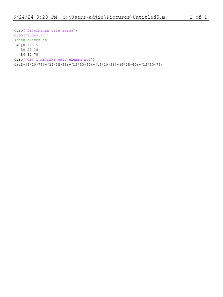 Determinant Calculation in MATLAB | PDF | Science & Mathematics