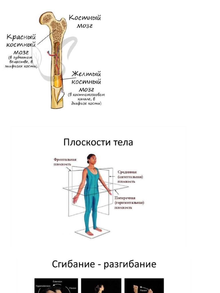 Оның мүшесіне саусақты салыңыз