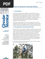 Coleta de Sementes Florestais Nativas