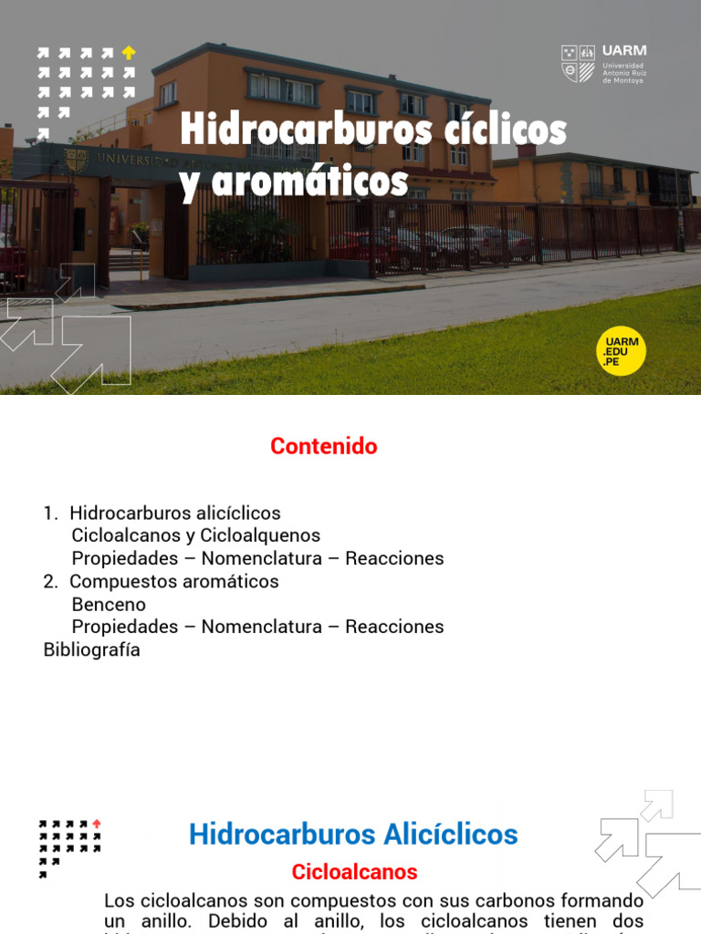 Hidrocarburos Cíclicos y Aromáticos | PDF | Benceno | Moléculas