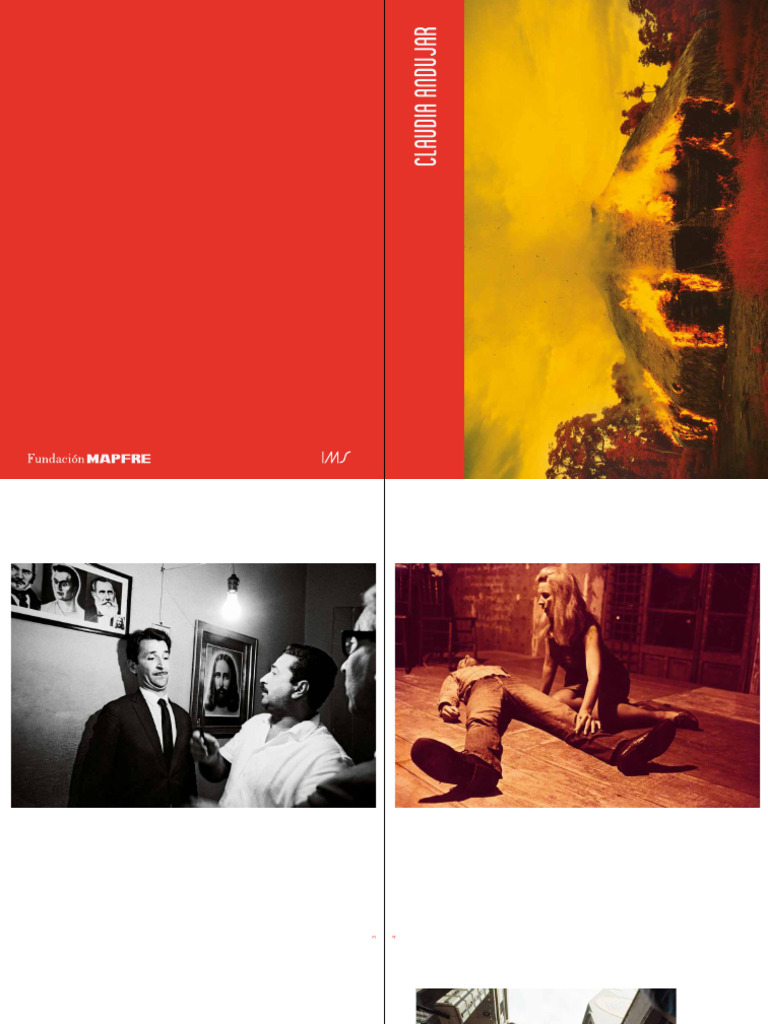 extracto-catalogo-claudia-andujar-pdf-brasil
