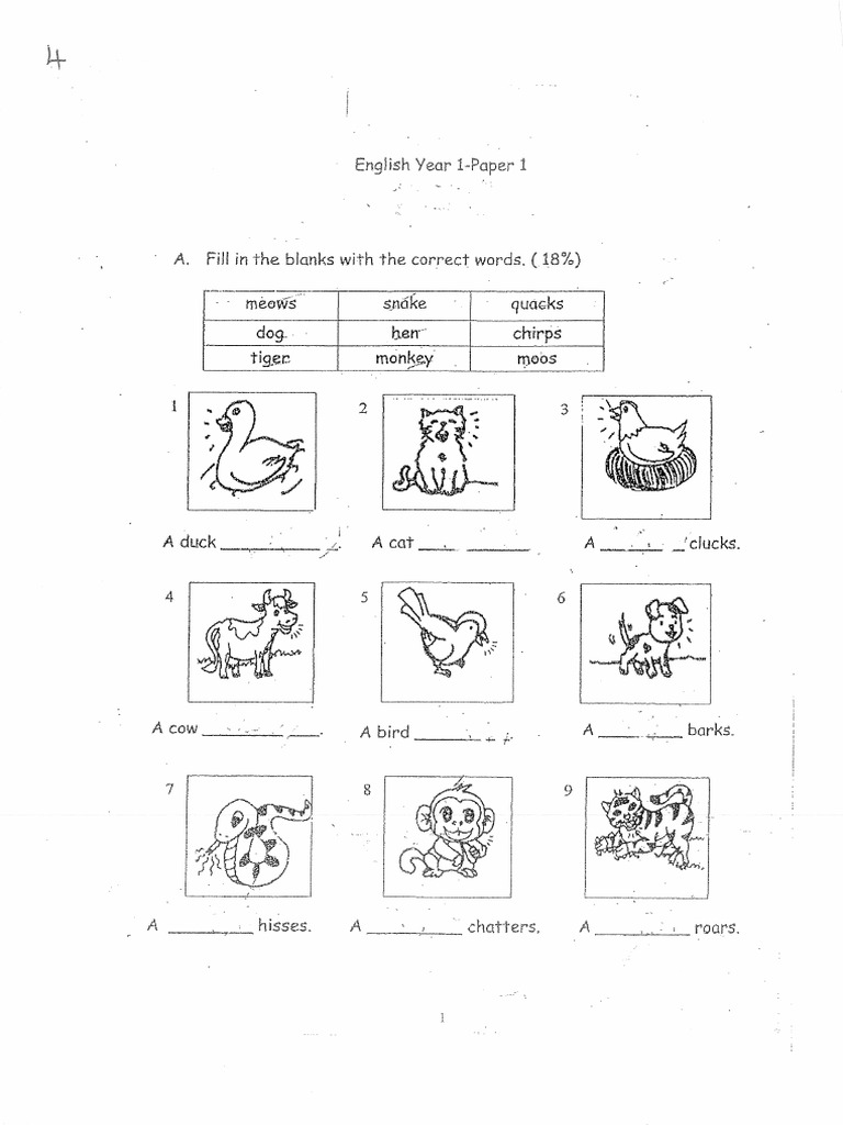 5 STD 1 | PDF