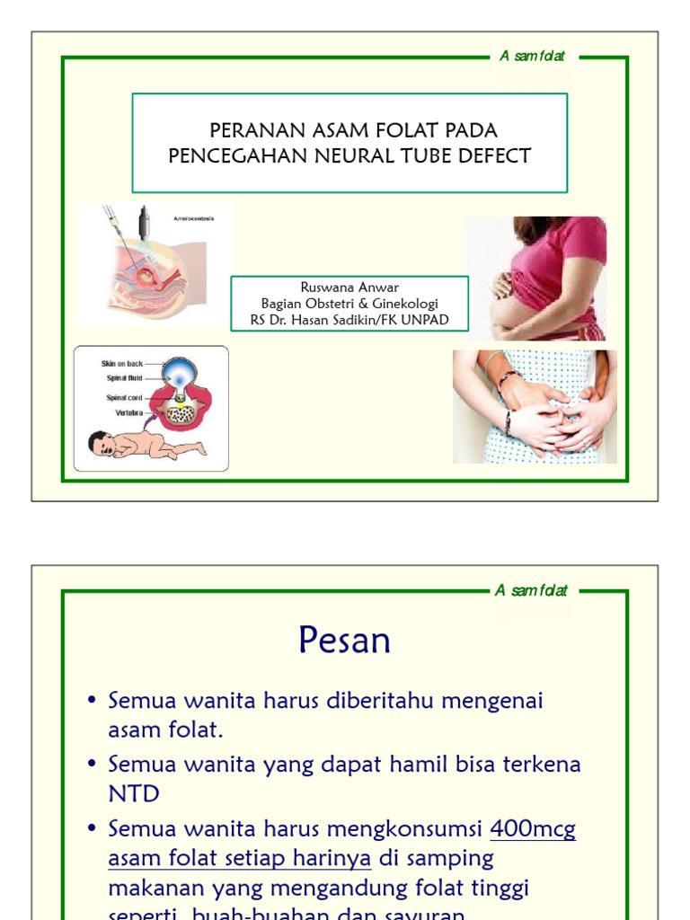 Peranan Asam Folat Pada Pencegahan Neural Tube Defect | PDF | Kesehatan ...