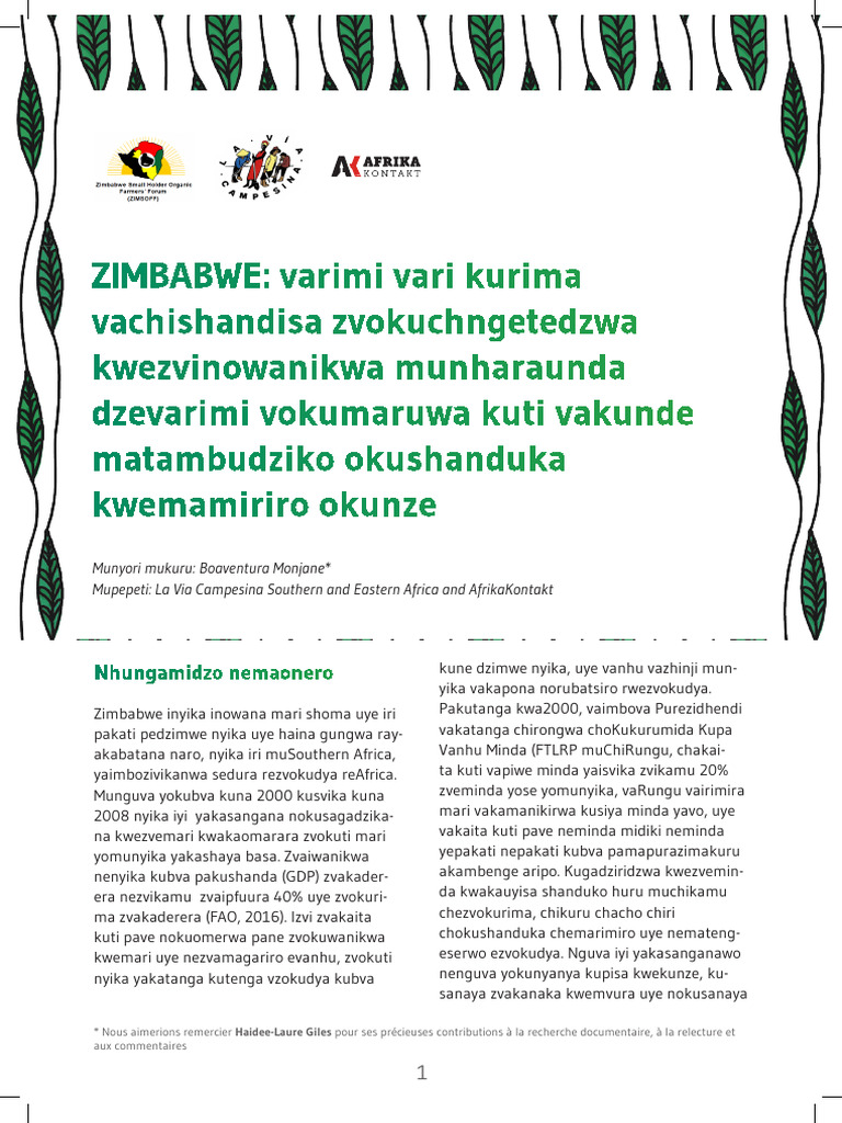 Report Zimbabwe Shona Print Pdf Earth Sciences