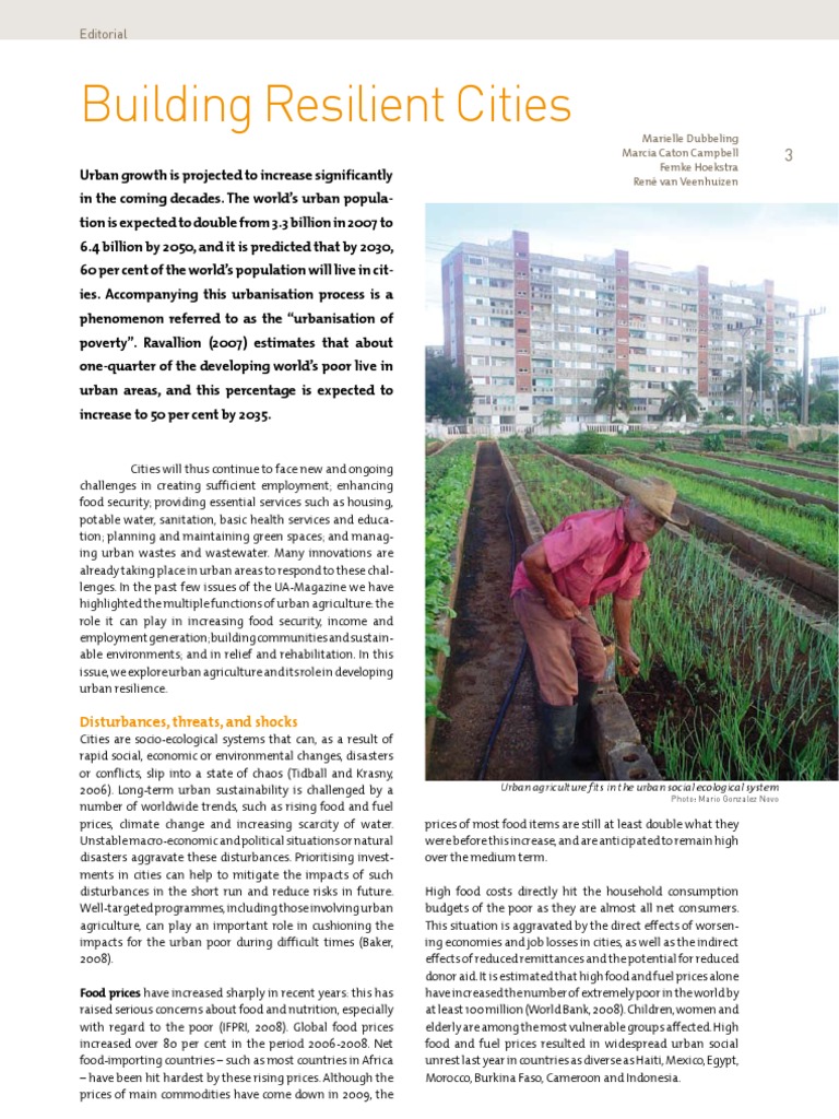 UN Building Resilient Cities | PDF | Urban Agriculture | Food Security