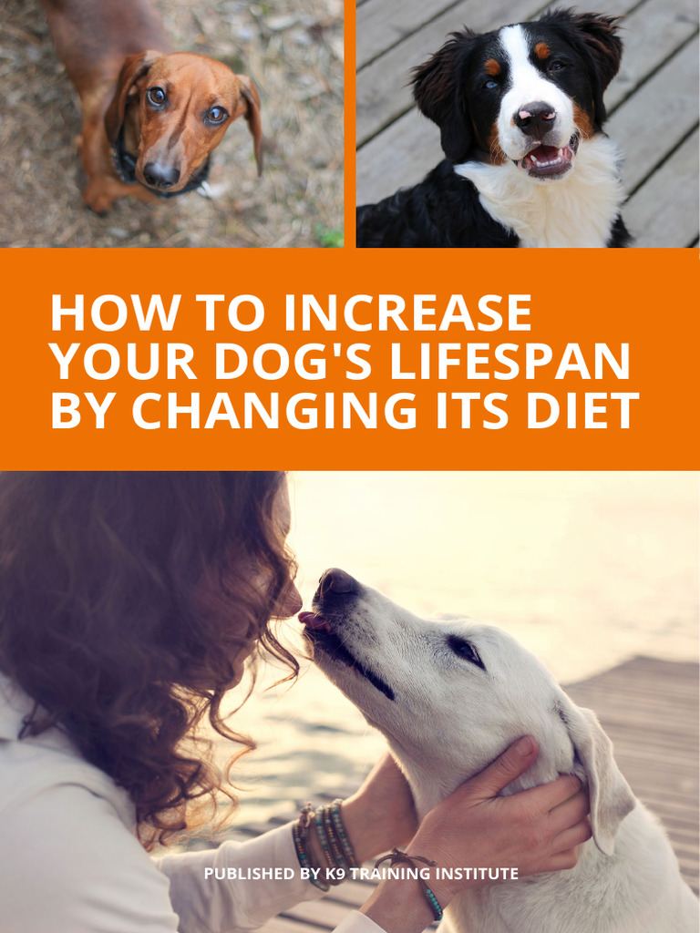 How To Increase Your Dog's Lifespan PDF Dog Food Vitamin