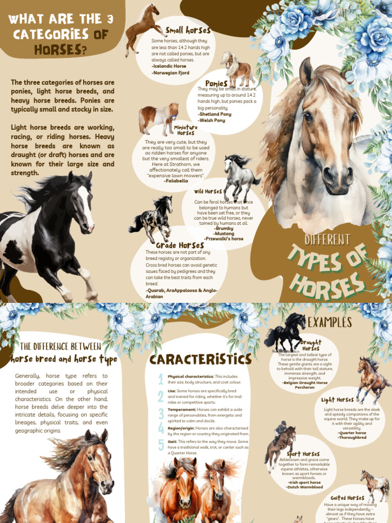 Horses | Download Free PDF | Horses | Pony