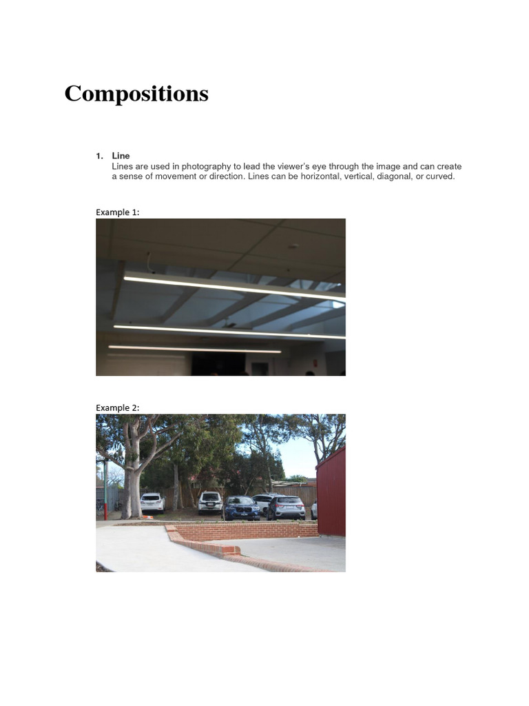 Photography Composition Techniques | PDF
