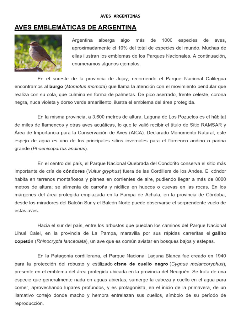 Ejercicio Aves | PDF | Aves
