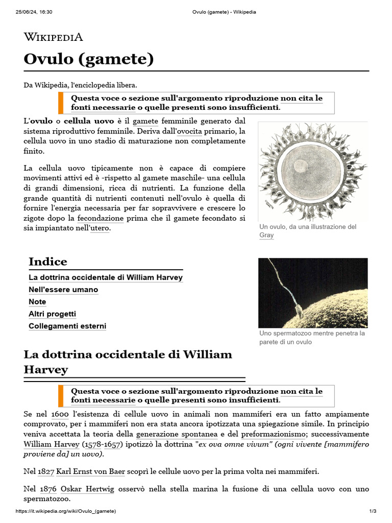 Ovulo (Gamete) - Wikipedia | PDF