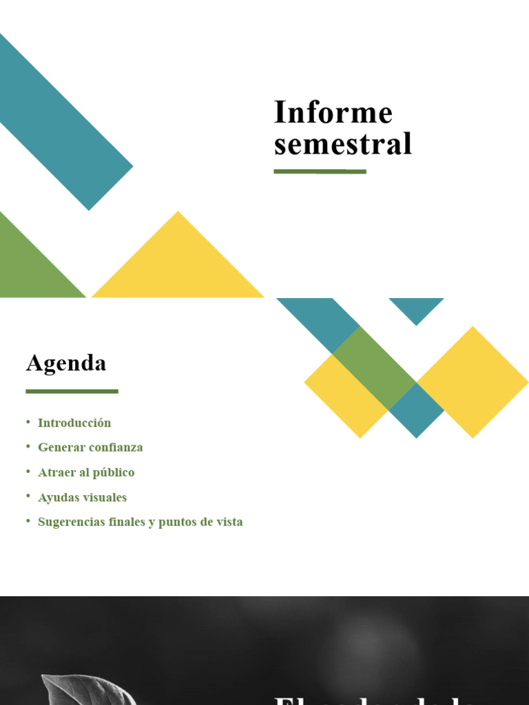 Informe Semestral | PDF | Comunicación