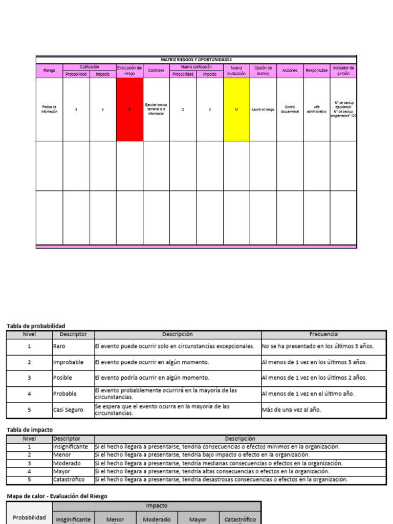 Matriz de Riesgos y Oportunidades | Descargar gratis PDF | Riesgo
