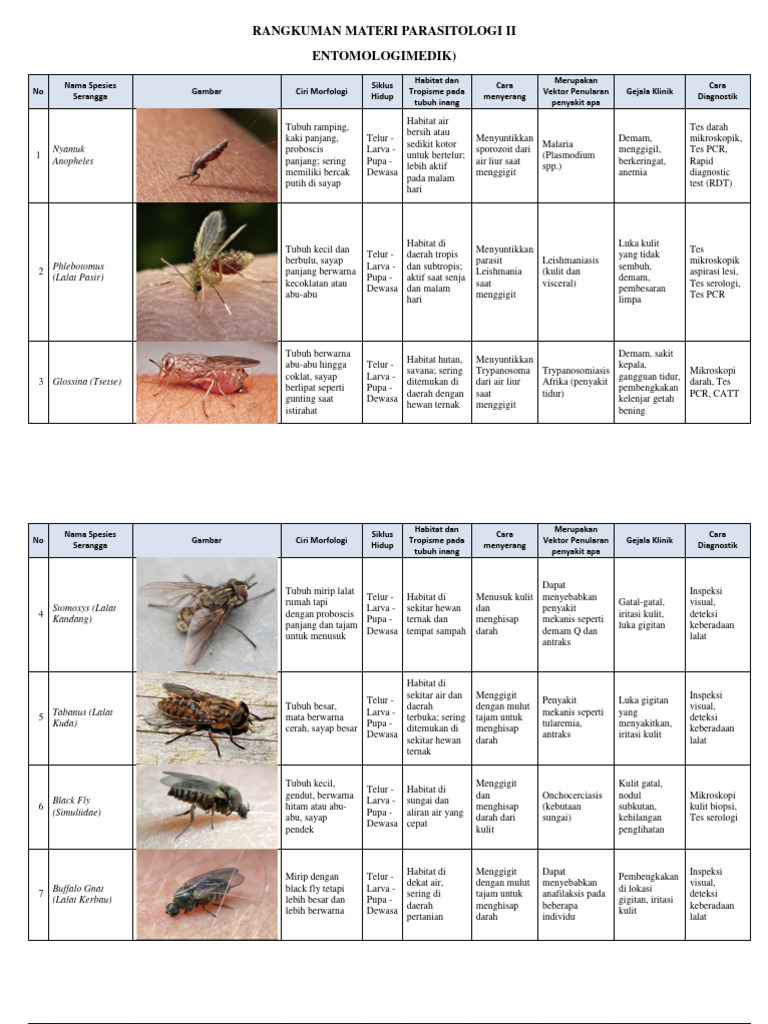 Rangkuman Materi Parasitologi Ii Entomologi Medis Rev | PDF