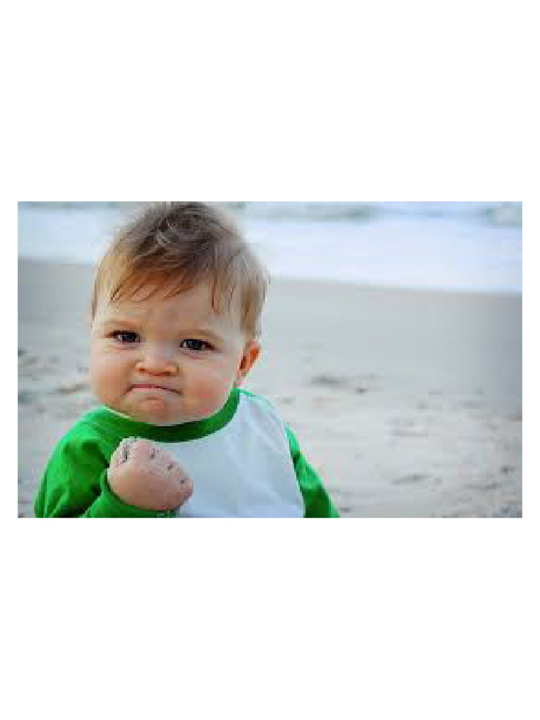Success pdf