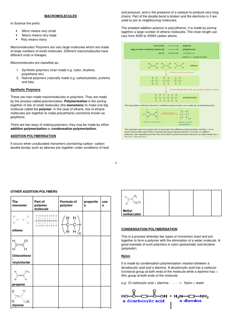 Understanding Macromolecules and Polymers | PDF | Hydrolysis | Polymers