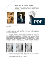 ABDOMINOPLASTIA