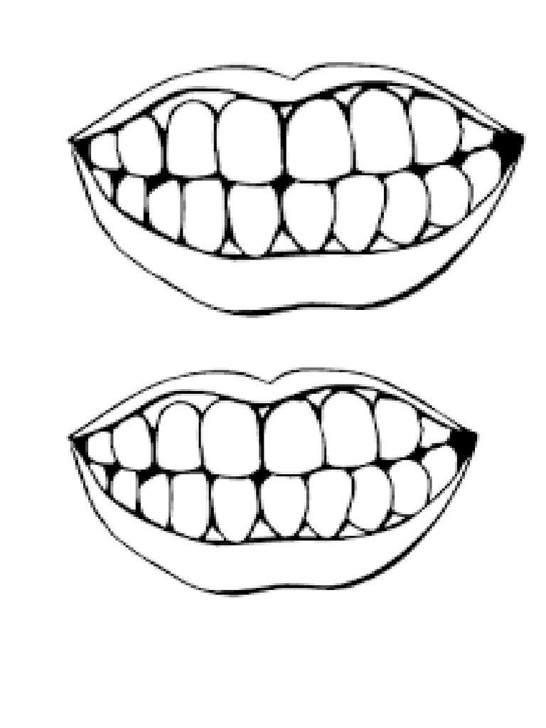 teeth PDF