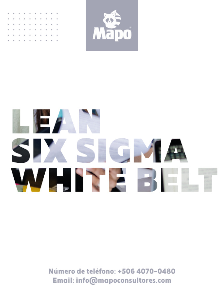 Lean Six Sigma White Belt | PDF