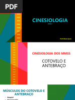 Músculos da Região Tenar e Hipotenar | PDF | Anatomia humana | Sistema ...