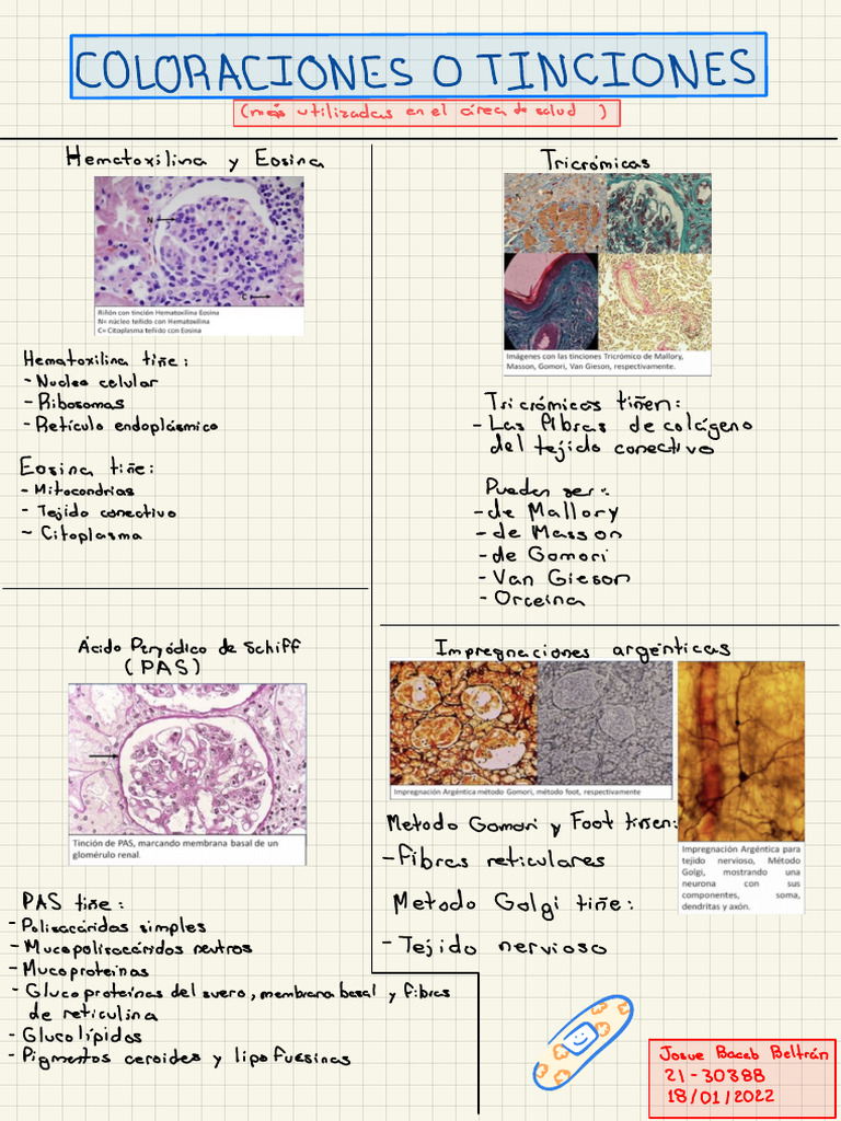 Coloraciones Histológicas en Salud | PDF | Tinción | Tejido conectivo
