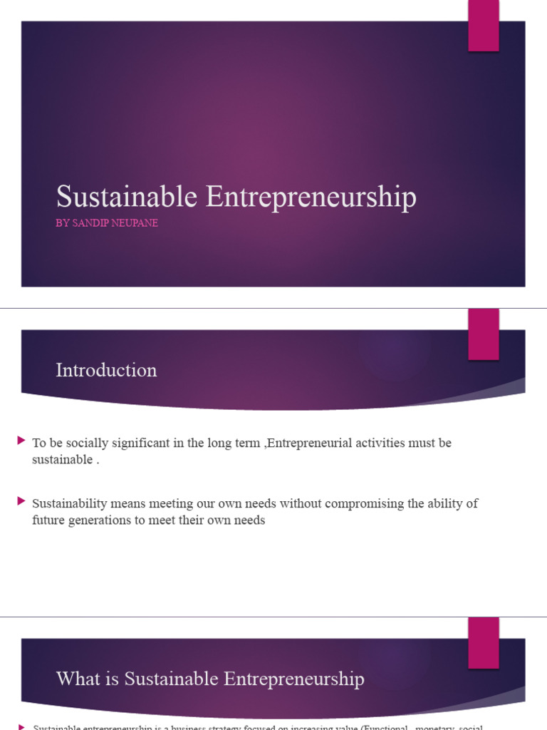Sustainable Entrepreneurship Insights | PDF | Entrepreneurship ...