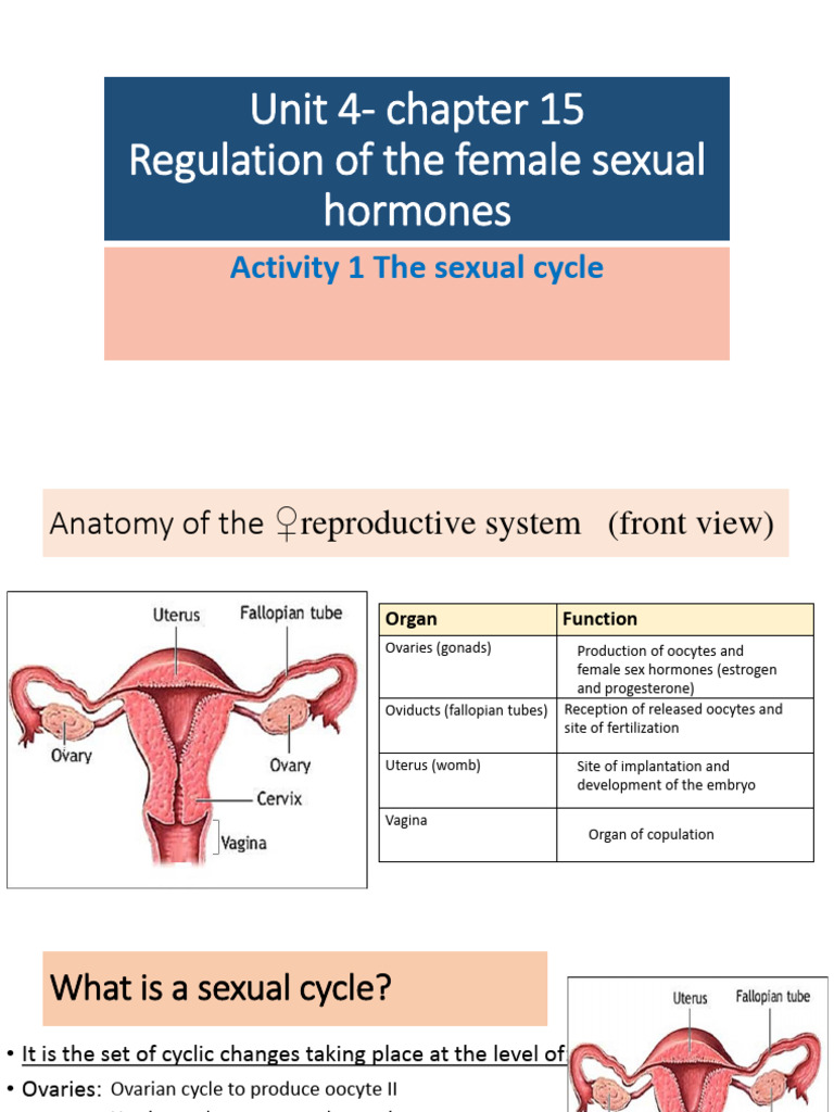 chapter-15-regulation-of-the-female-cycle (1)(1) | PDF | Menstrual ...