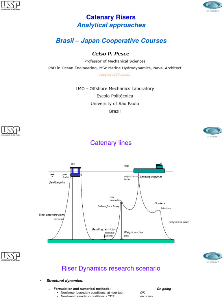 Catenary Riser Dynamics Research Overview | PDF | Applied And ...