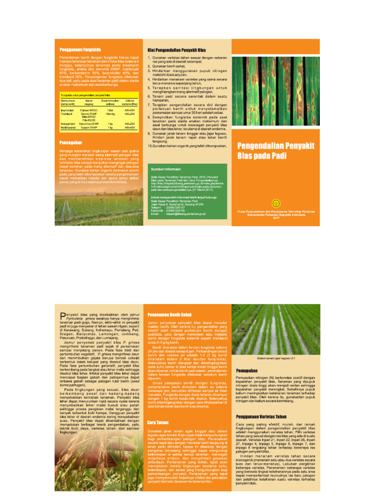 FOLDER Pengendalian Penyakit Blas Pada Padi | PDF