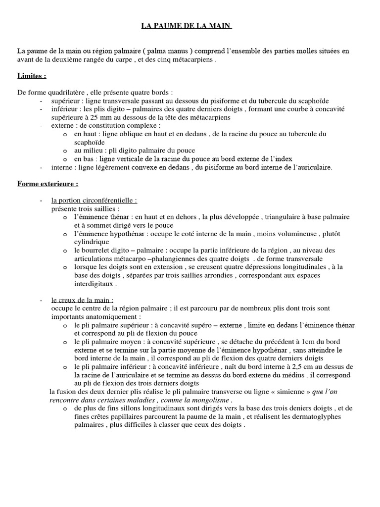 Anatomie de la Paume de la Main | PDF | Main | Appareil locomoteur