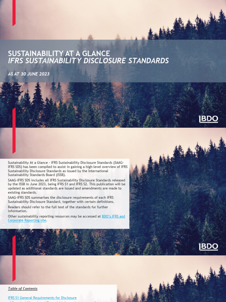 Sustainability at A Glance IFRS Sustainability Disclosure Standards ...