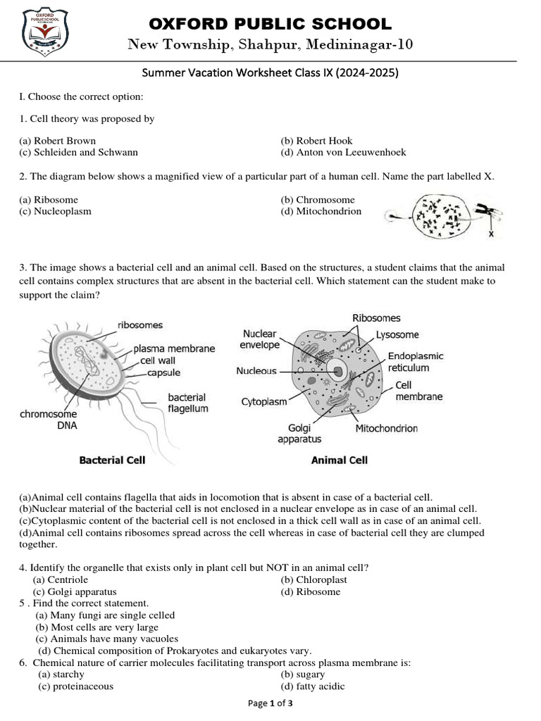 Class 9 Biology Summer Worksheet | PDF | Cell (Biology) | Vacuole