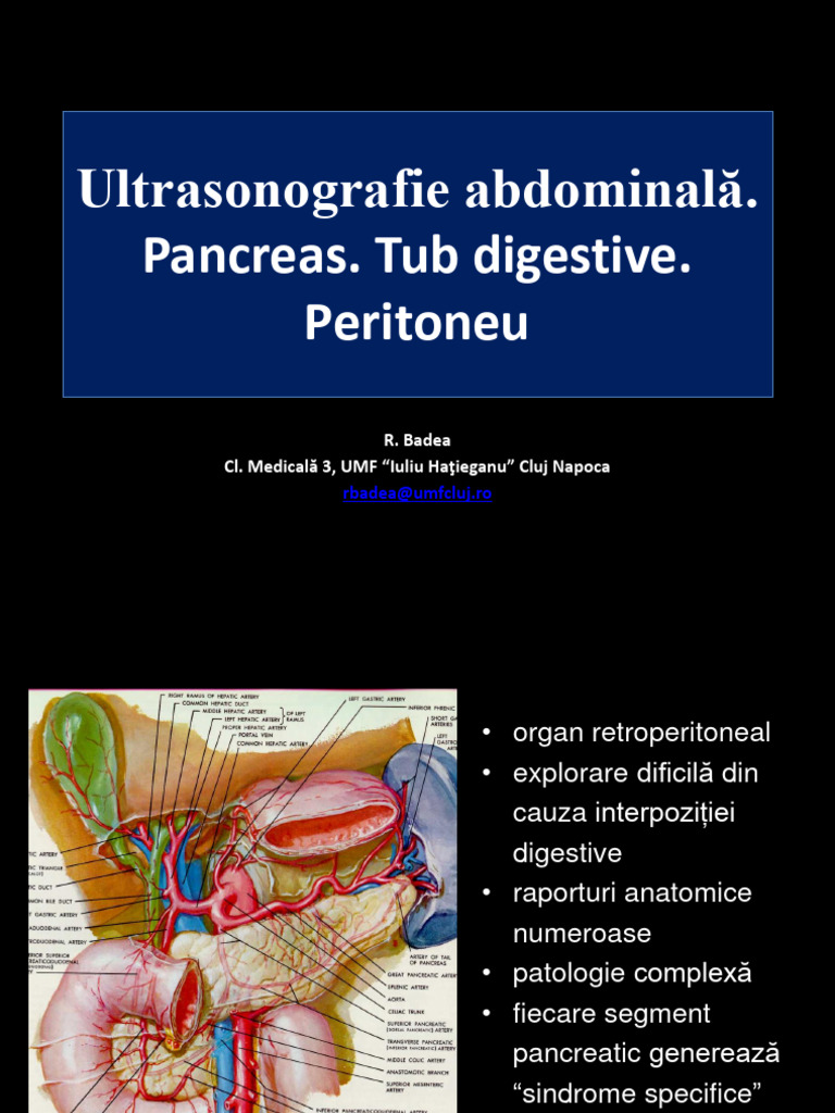 Curs 2 - Pancreas. Tub Digestiv. Peritoneu | PDF