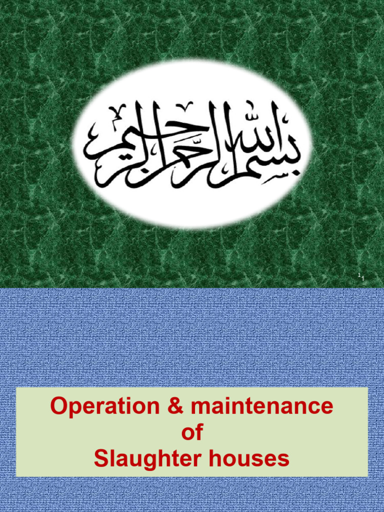O&M of Slaughter Houses | PDF | Sanitation | Animal Slaughter