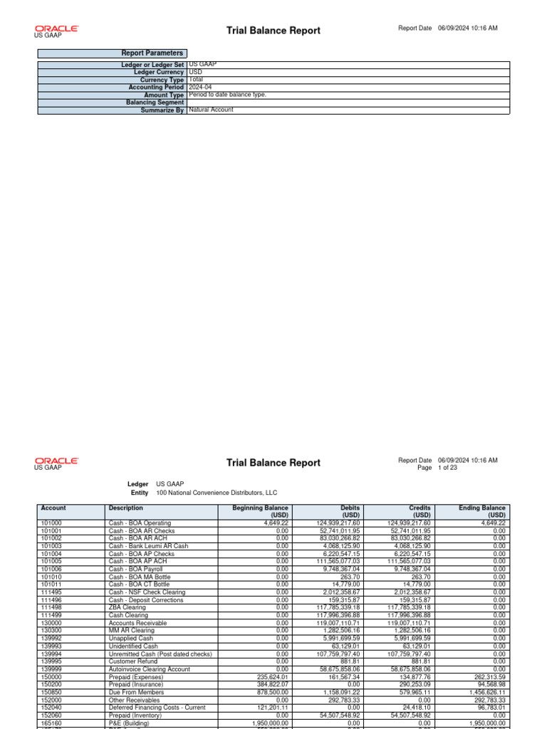 Output Document | Download Free PDF | Debits And Credits | Financial ...