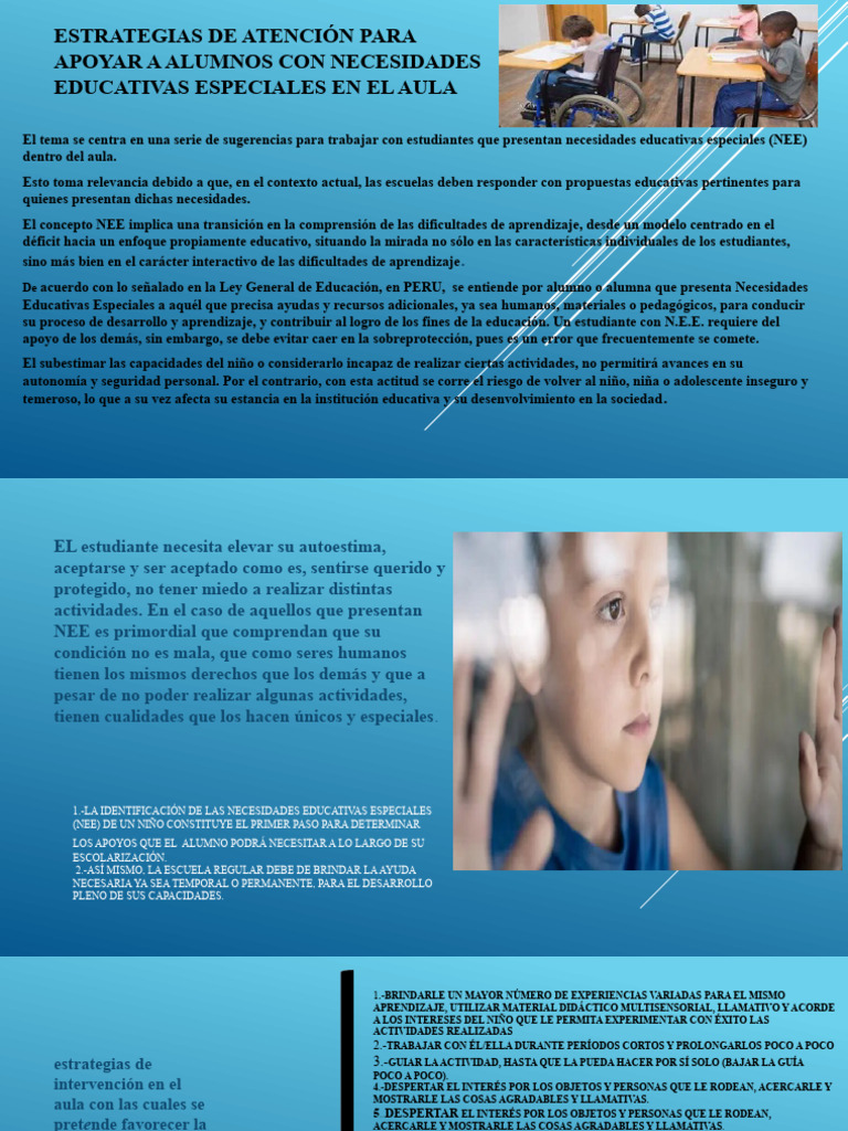 Estrategias de Atención NEE | PDF | Aprendizaje | Ciencias del ...