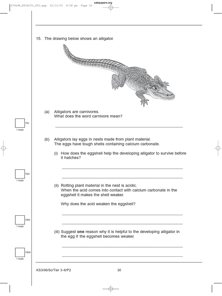 KS3/06/Sc/Tier 3-6/P2 30 | PDF | Egg | Alligator
