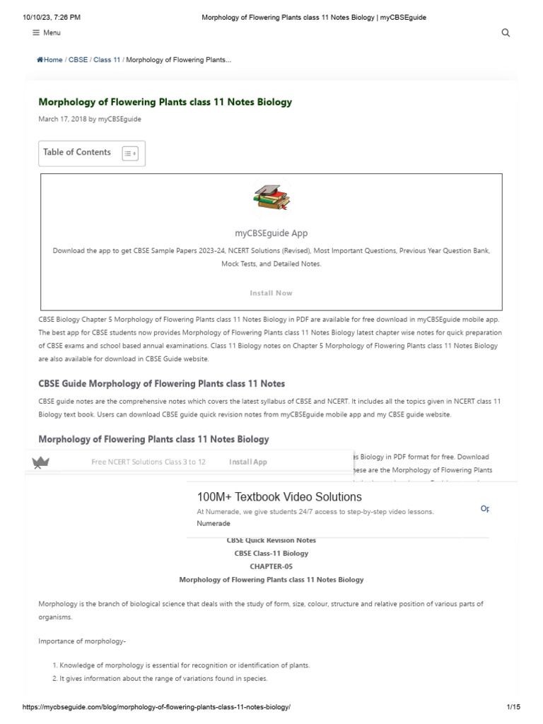 Morphology of Flowering Plants Notes | PDF | Leaf | Seed