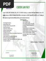 Modelo de Certificado de NR 35 | PDF
