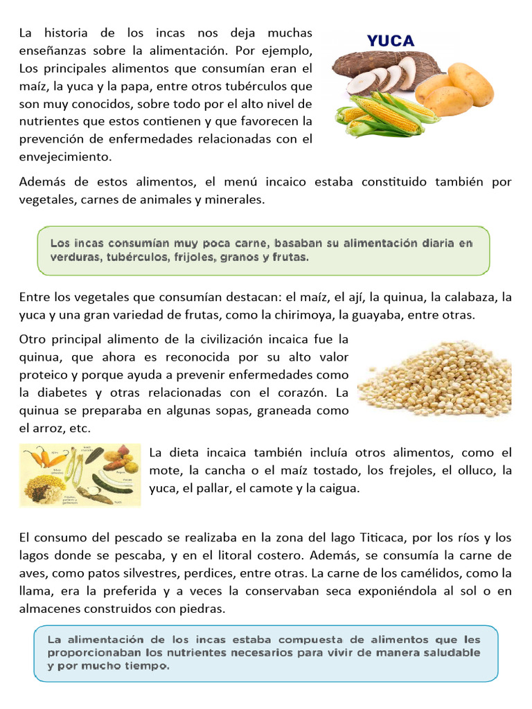 Alimentación y conservación incaica | PDF | Alimentos | Maíz