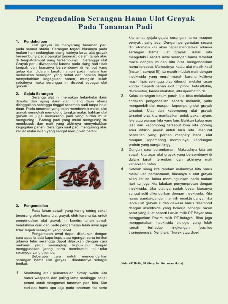 Hama Ulat Grayak - 1 | PDF