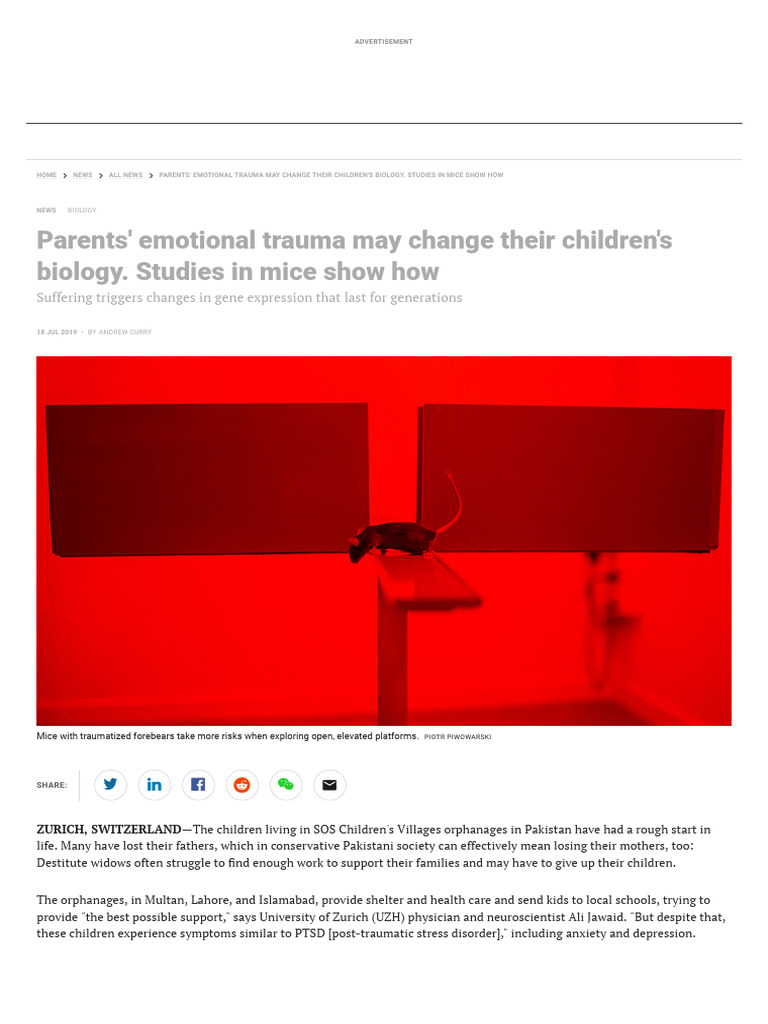 Parents' Emotional Trauma May Change Their Children's Biology. Studies ...