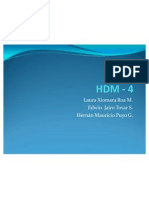 Presentacion HDM - 4